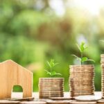 Royal Sip: Bhutan Cordyceps Tea Price Unveiled 27 Royal Sip: Bhutan Cordyceps Tea Price Unveiled