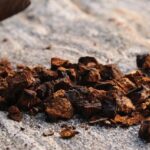 Make It Happen: How to Make Mushroom Tea 24 Make It Happen: How to Make Mushroom Tea